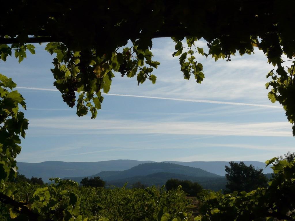 Roussillon en Isere Lou Amourie מראה חיצוני תמונה
